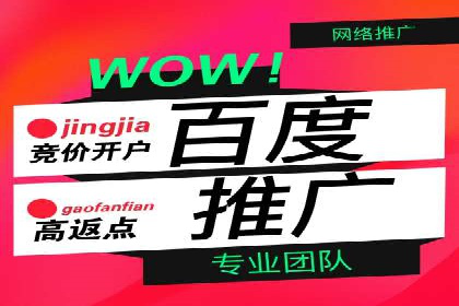 竞价广告端口开户的典型案例剖析